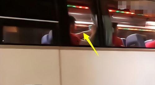 毫无羞耻手机在线观看,揭秘隐私边界